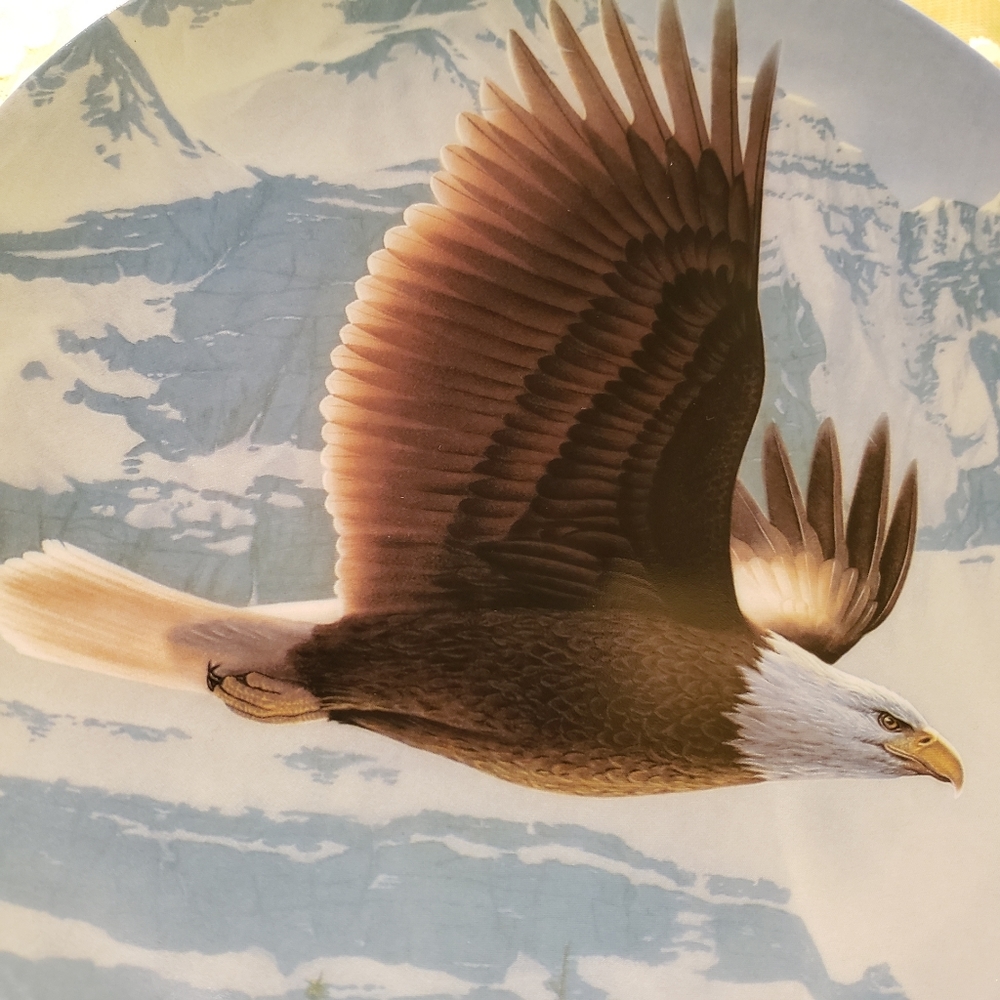 Vtg 1988 Baldwin Eagle Plate Bradex #84-K41-74.1